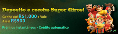 222t Rede